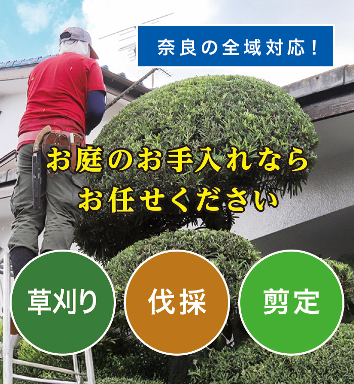 橿原市で草刈り・剪定・伐採なら「お庭の大将」 橿原市で草刈り・剪定・伐採なら「お庭の大将」